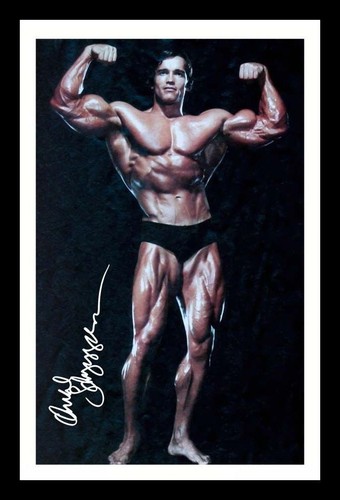 Arnold schwarzenegger - arnold,