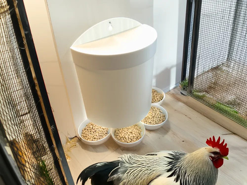 Wall mounted chicken feeder - chicken,