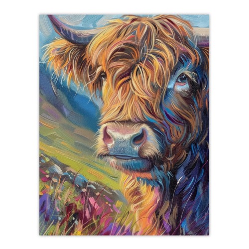 Scottish highland cow - cow, hairy