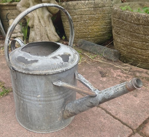 Vintage galvanised gallon - galvanised,