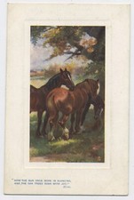 Horses in the River Raphael