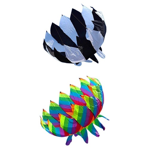 Big kite easy - kite, to
