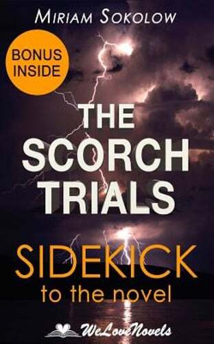 The scorch trials maze - scorch, (the