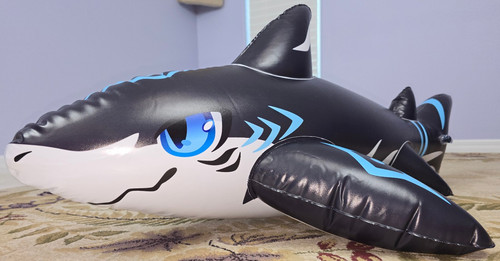 Angy lil inflatable shark - angy,