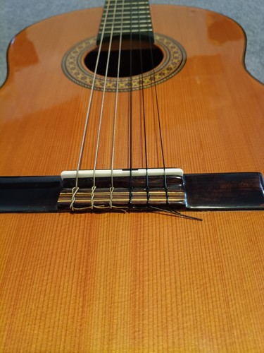 Antonio carvalho luthier made - carvalho,