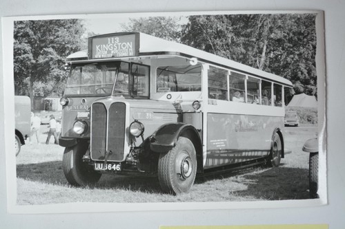 General bus 113 kingston - bus,