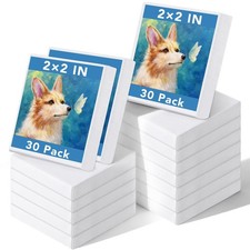 30 Pack Mini Painting Canvas