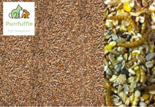 20kg ROBIN FINCH WILD BIRD