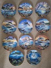 Dolphin Collectable Wall