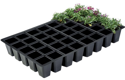 Cell seed inserts reusable - 40,