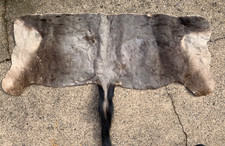 Genuine Vintage Real Taxidermy African Blue Wildebeest Skin Flank Rug Pelt