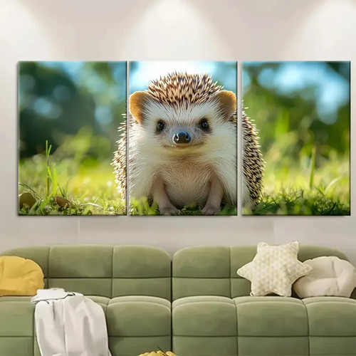 3pcs african pygmy - 3pcs,