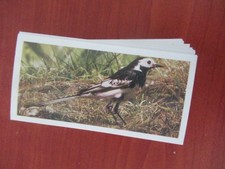 A Full set of 50 cards British