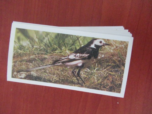 Full set cards british - full,
