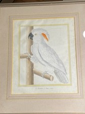 Vintage Francois Martinet