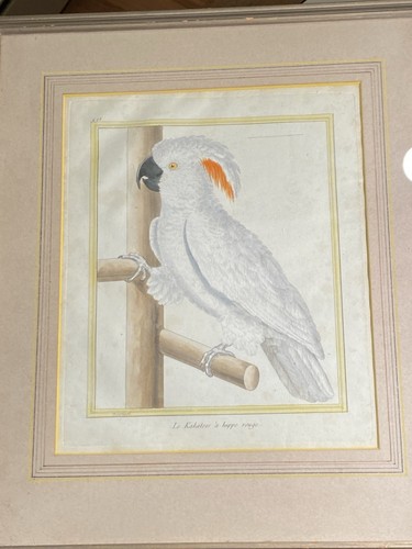 Vintage francois martinet - francois,