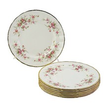 Paragon, Victoriana Rose, 7 X