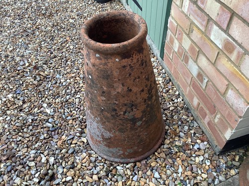 Vintage rhubarb terracotta - vintage,