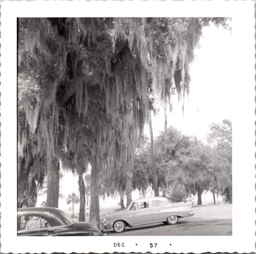 Vintage 1957 photo classic - vintage,