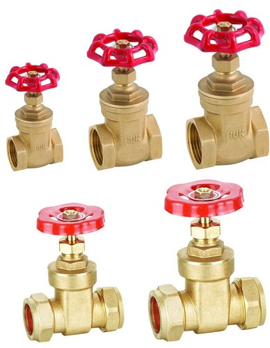 Brass gate valve female bsp - valve,