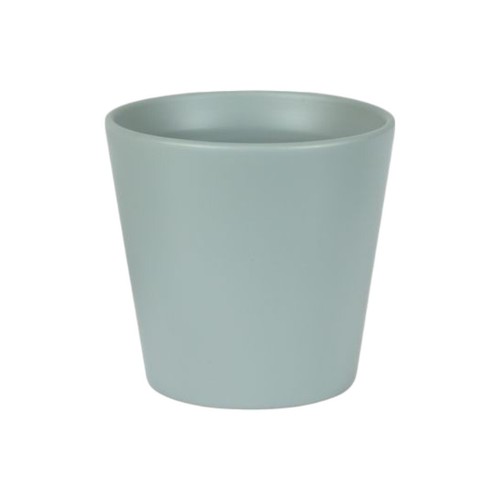 Ceramic indoor plant - plant, pot