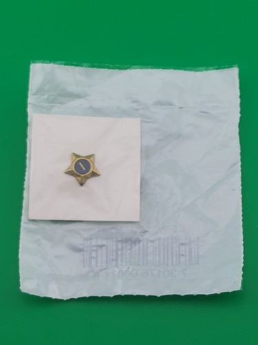 Scout service star pin boy - star#1,