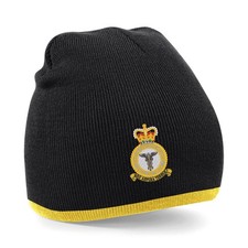 OFFICIAL RAF Medical Corps