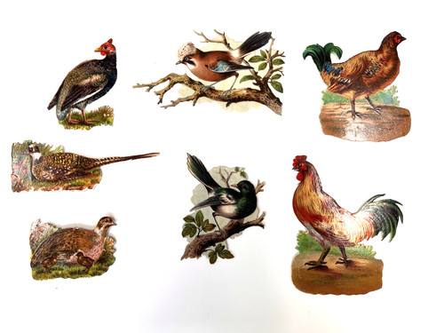 Victorian die cut - victorian, birds