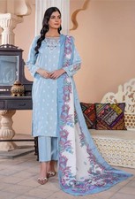 embossed Pakistani Dress