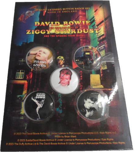 The david bowie early albums - bowie,