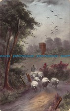 R150453 Painting Postcard. Sheeps on the Road. Wildt and Kray. 1912