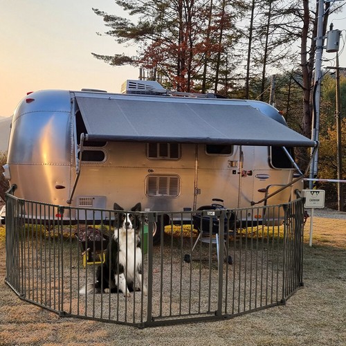 Panel dog pet playpen - pet,