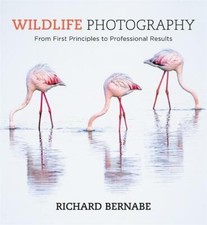 Wildlife Photography, Bernabe