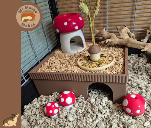 Chamber hamster hide with - hamster,