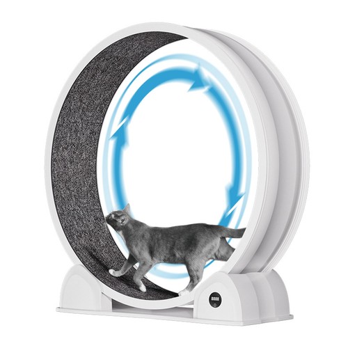 Cat exercise wheel - cat,