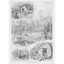 VIRGINIA WATER Surrey, Pheasant Rearing - Antique Print 1894