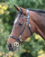 Shires Blenheim Plain Inhand