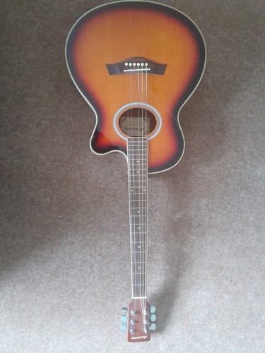 Academy electric acoustic - academy,