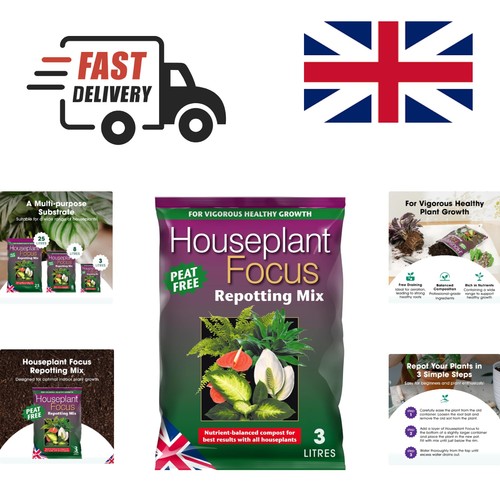 Houseplant focus repotting - houseplant,