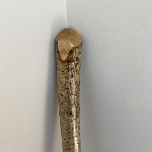 Hand made walking stick - stick, with