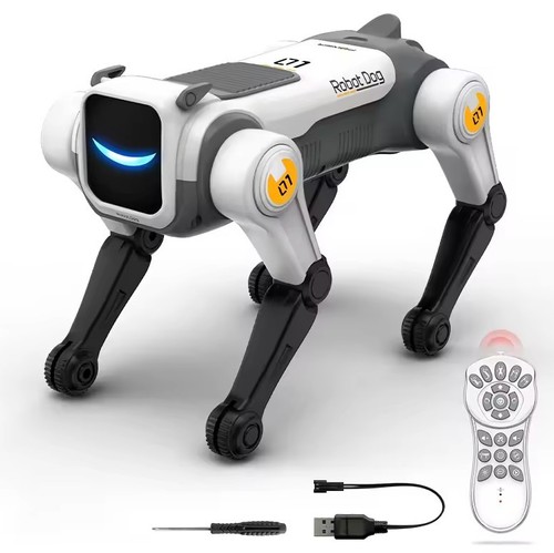 Intelligent smart robot - intelligent, rc