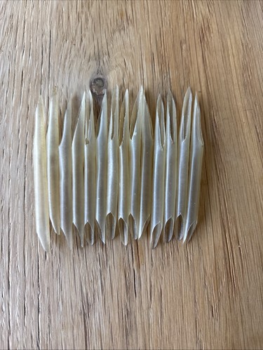 Cut goose quill ends for - cut,