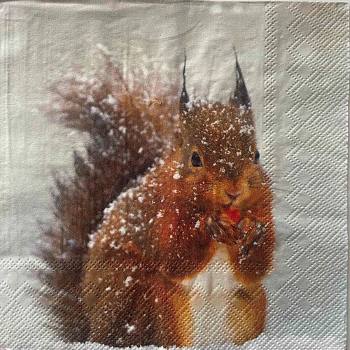 Luncheon paper napkins for - 2,