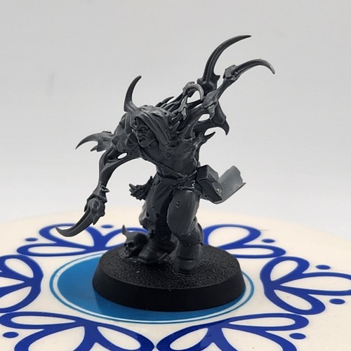Chaos accursed cultist - chaos,