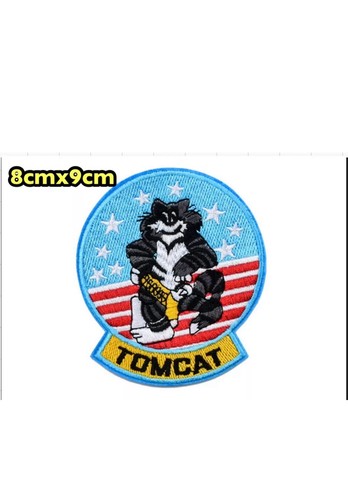 Tomcat navy fighter - navy,