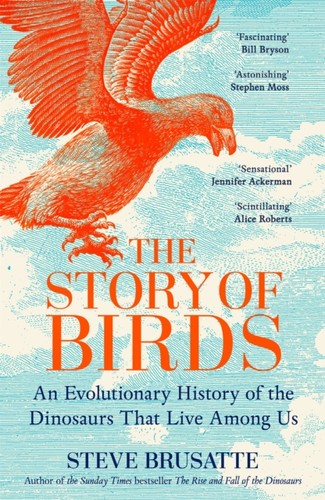 Story birds - story,