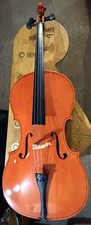 Cello Cecilio 50" Great
