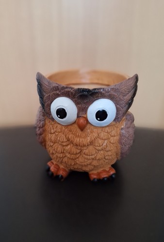 Charming owl shaped - shaped, resin