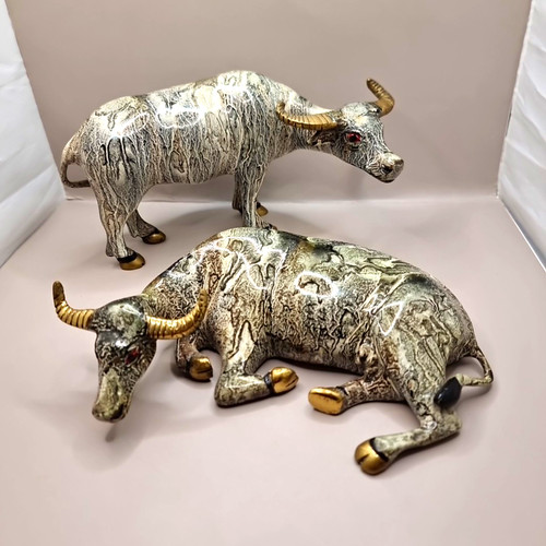 Pair beautiful metallic - of,