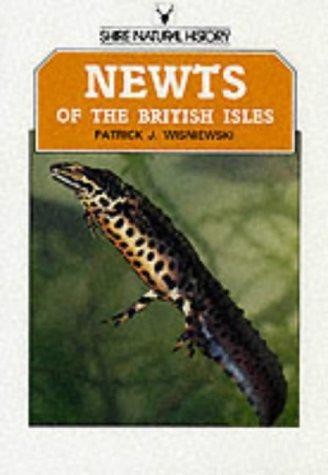 Newts the british - newts, isles